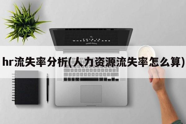 hr流失率分析(人力资源流失率怎么算)